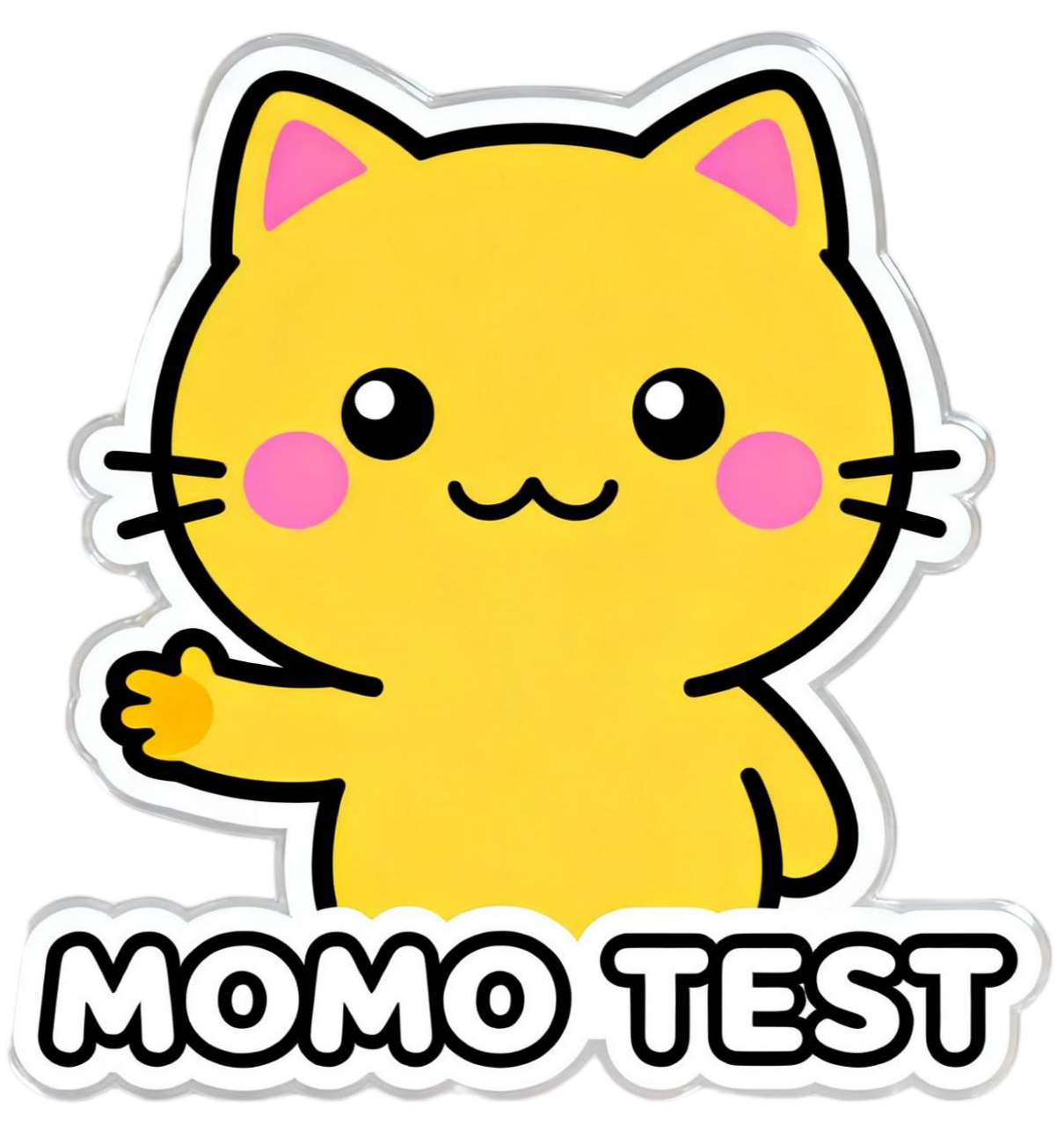 MOMO TEST